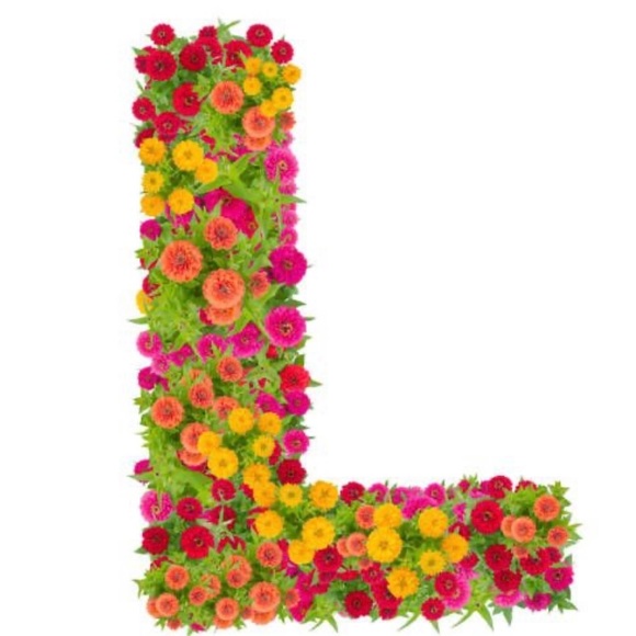 Meet your Posher, Lesley - Picture 1 of 1